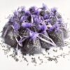 12 Bags of Dried Lavender in Small Lilac Organza Bags -Real Flower/Home Fragrance/Crafts /Moth Repellent